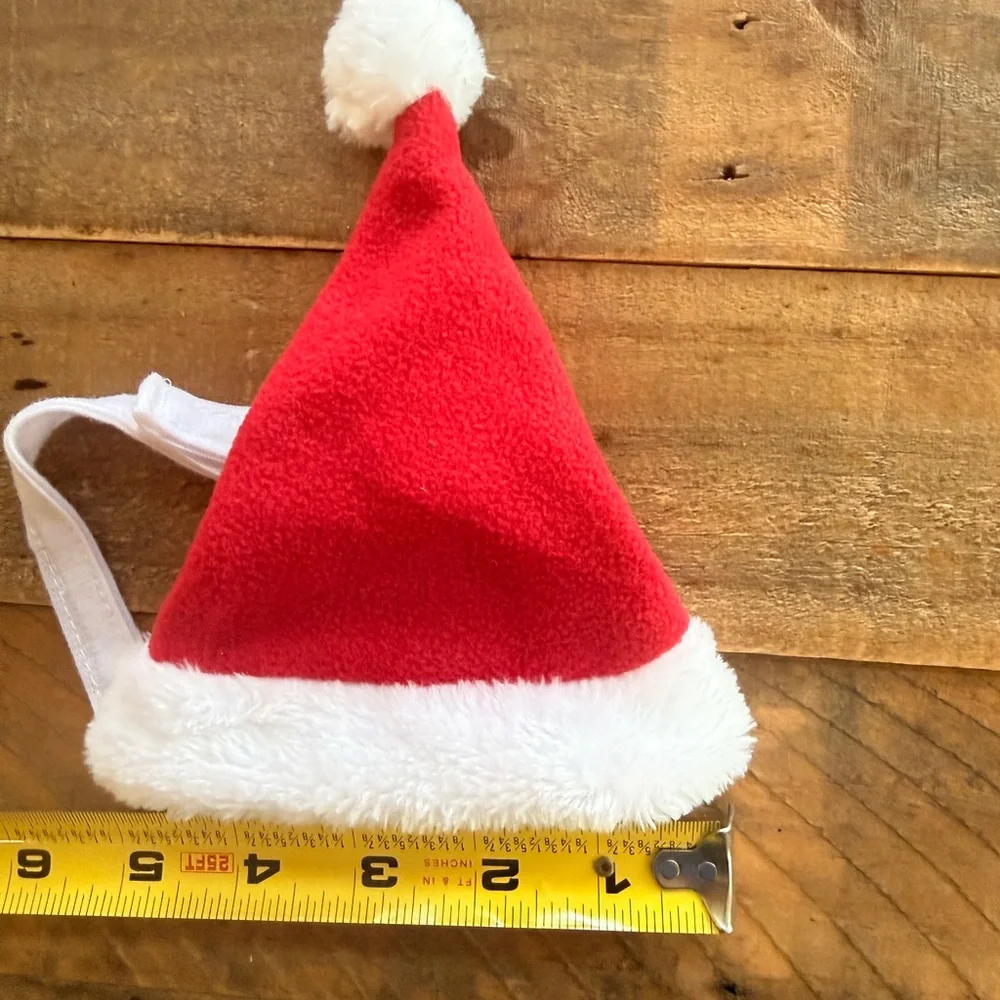 Cat Santa Costume